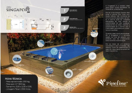 Mini Piscina Singapore 300